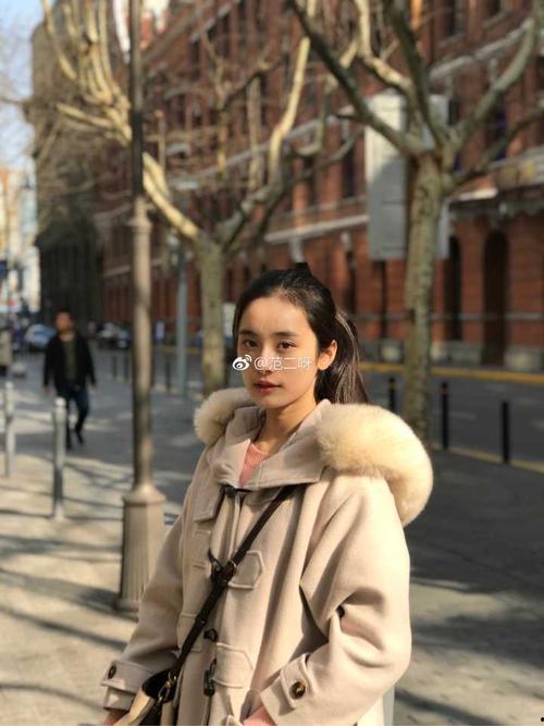 横母恋动漫,一场跨越次元的浪漫邂逅