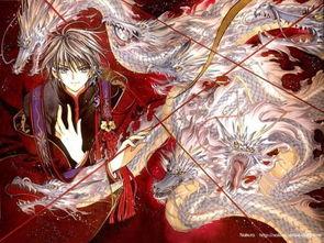 x战记漫画,命运交织的战士传奇